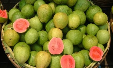 امرود، قدرت کا انمول تحفہ