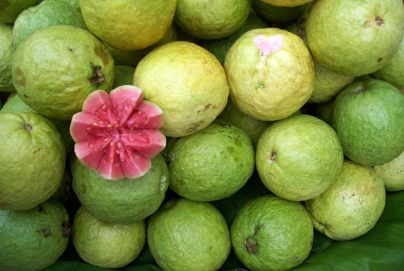 بلغمی کھانسی میں بُھنا ہوا امرود فائدہ مند ہے، تحقیق