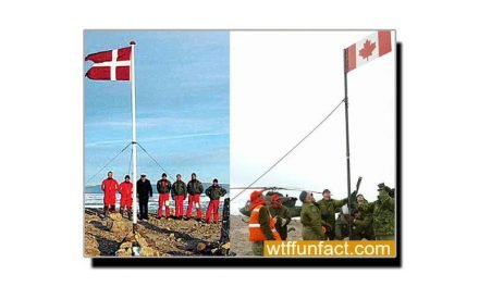 کینیڈا اور ڈنمارک کا "مثالی” تنازعہ
