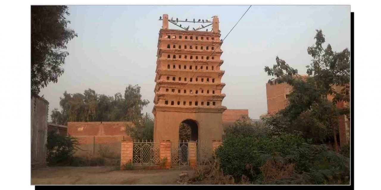 جیکب آباد کا تاریخی کبوتر گھر