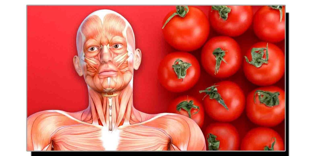 ٹماٹر، ہائی بلڈ پریشر کا غذائی علاج