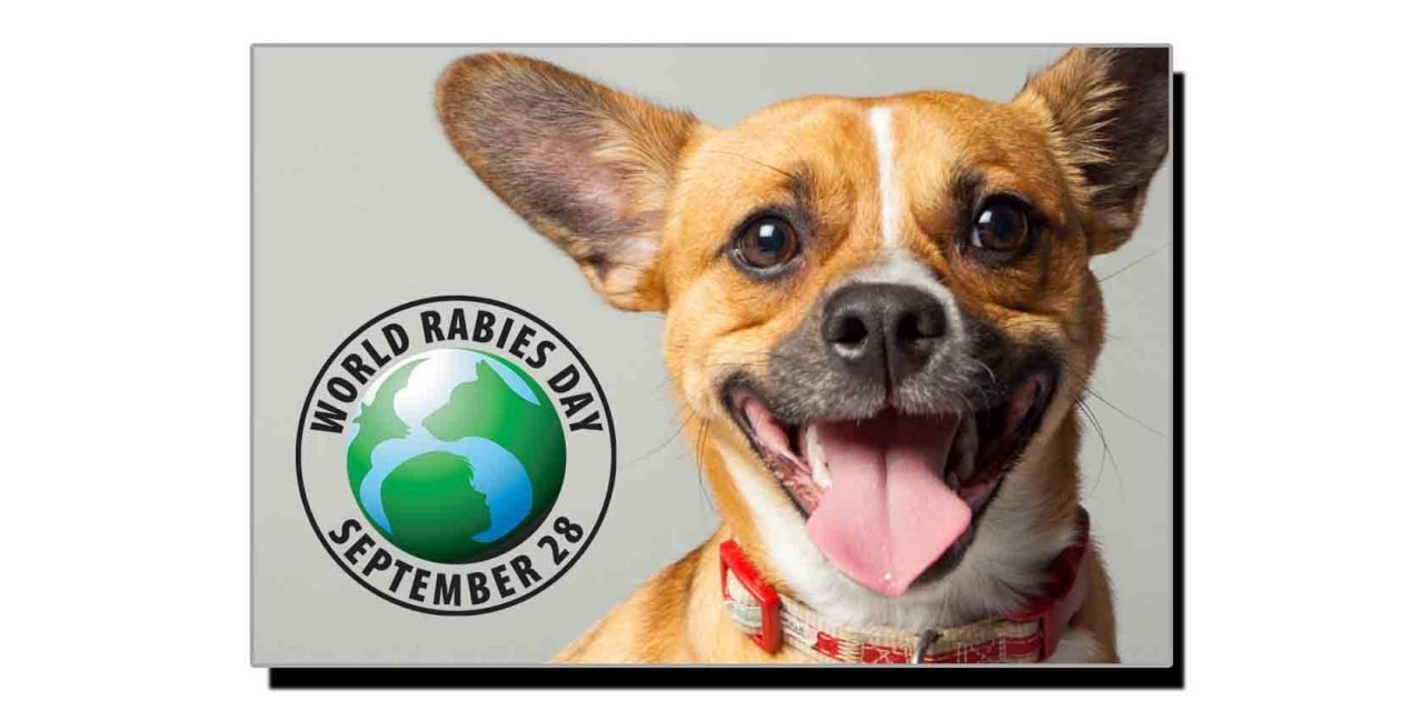28 ستمبر، عالمی یومِ سگ گزیدگی