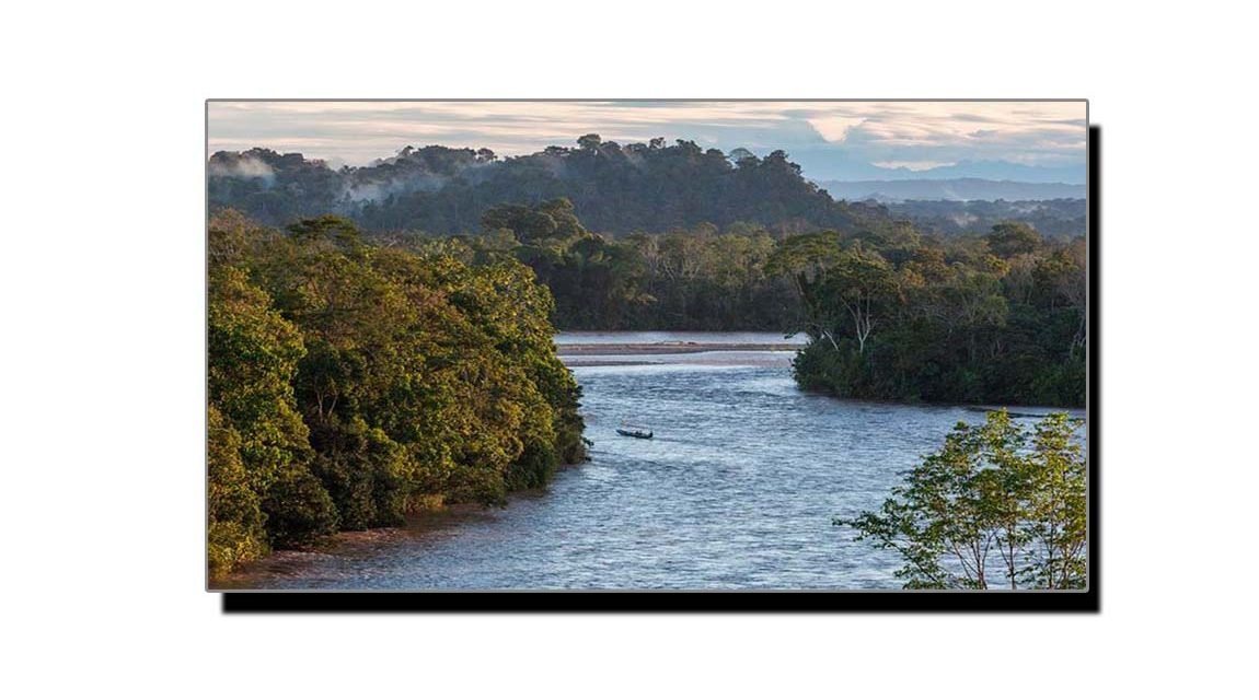 ایمیزون، دنیا کا سب سے بڑا جنگل