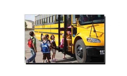 جانتے ہیں سکول بس کا رنگ زرد کیوں ہوتا ہے؟