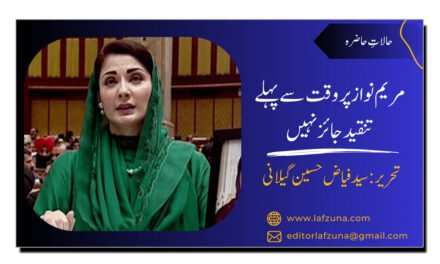 مریم نواز پر وقت سے پہلے تنقید جائز نہیں