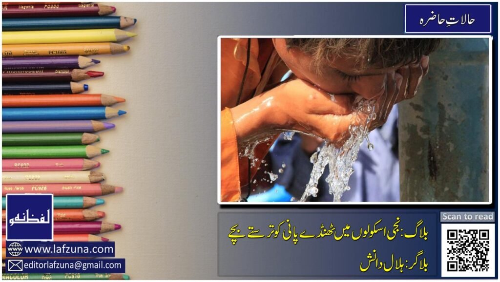 Blogger Hilal Danish