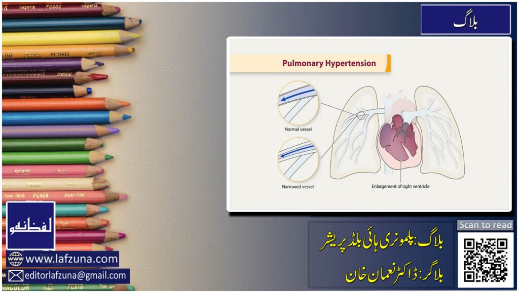 Blogger Doctor Noman Khan