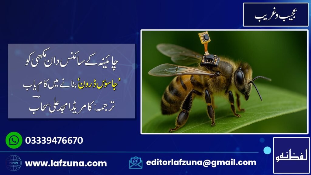 Blogger Journalist Comrade Amjad Ali Sahaab