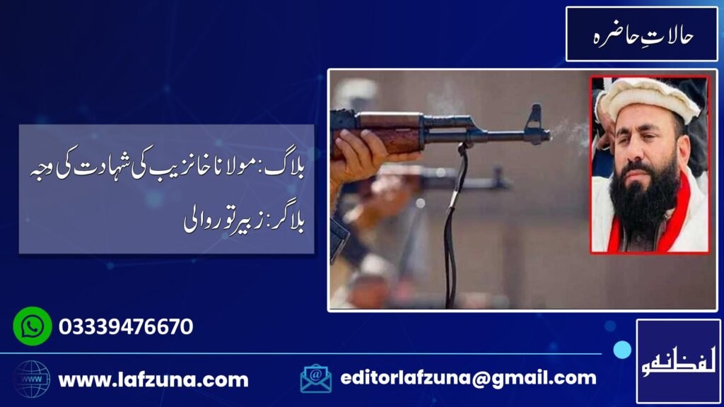 Blogger Zubair Torwali