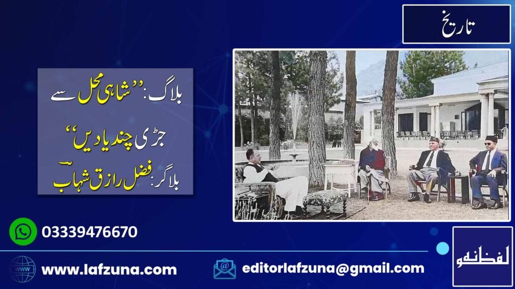 Blogger Fazal Raziq Shahaab