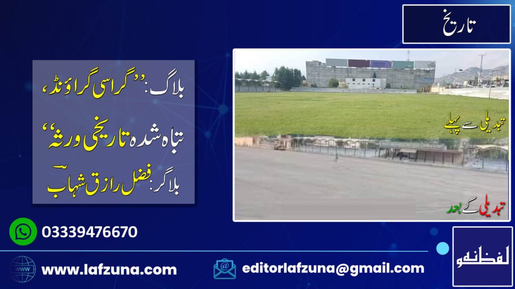 Blogger Fazal Raziq Shahaab