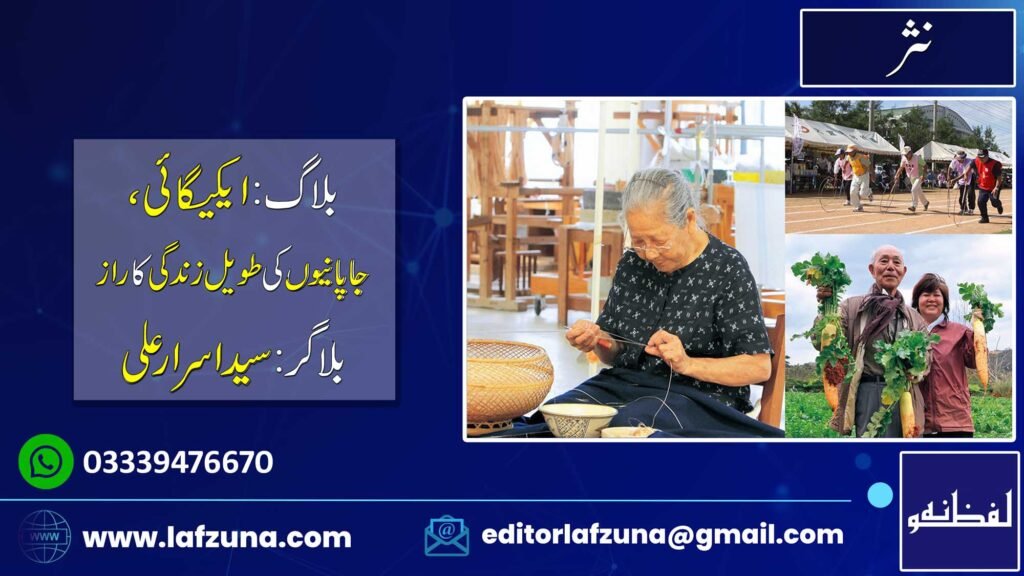 Blogger Syed Asrar Ali