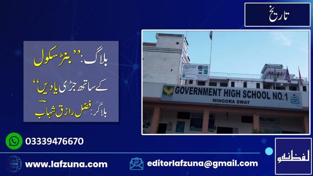 Blogger Fazal Raziq Shahaab