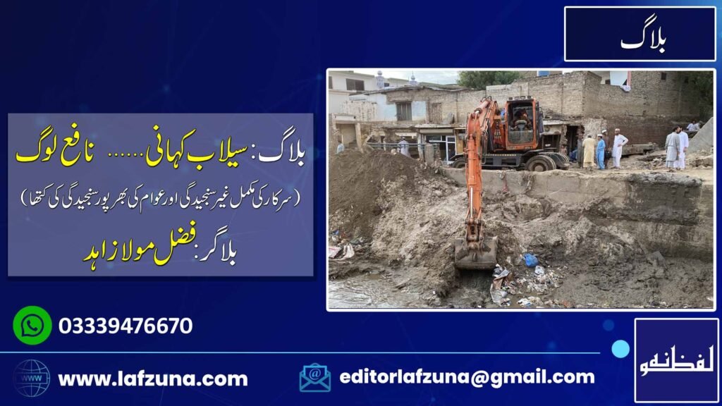 Blogger Fazal Maula Zahid