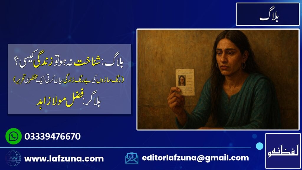 Blogger Fazal Maula Zahid