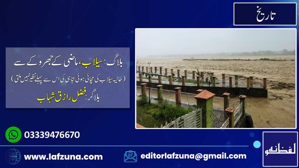 Blogger Fazal Raziq Shahaab