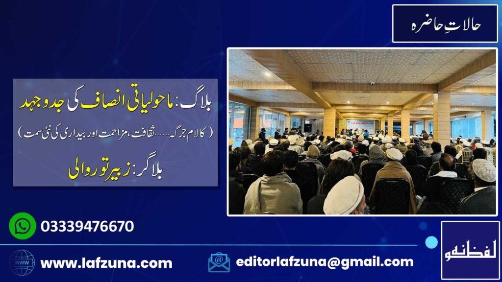 Blogger Zubair Torwali