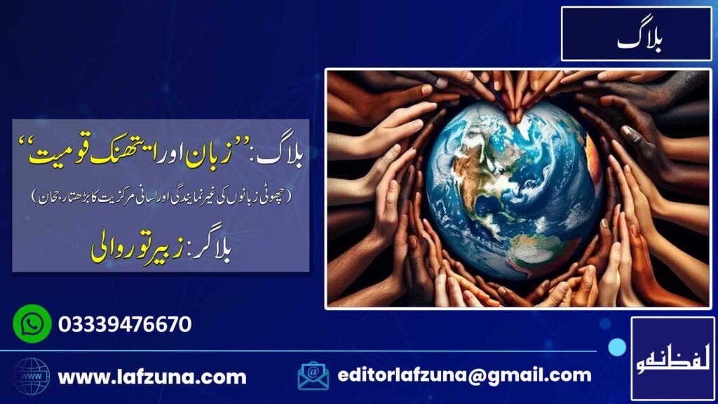 Blogger Zubair Torwali