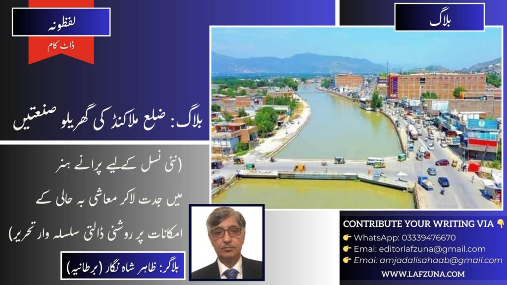 Blogger Zahir Shah Nigar