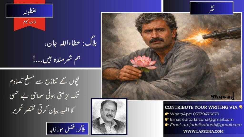 Blogger Fazal Maula Zahid