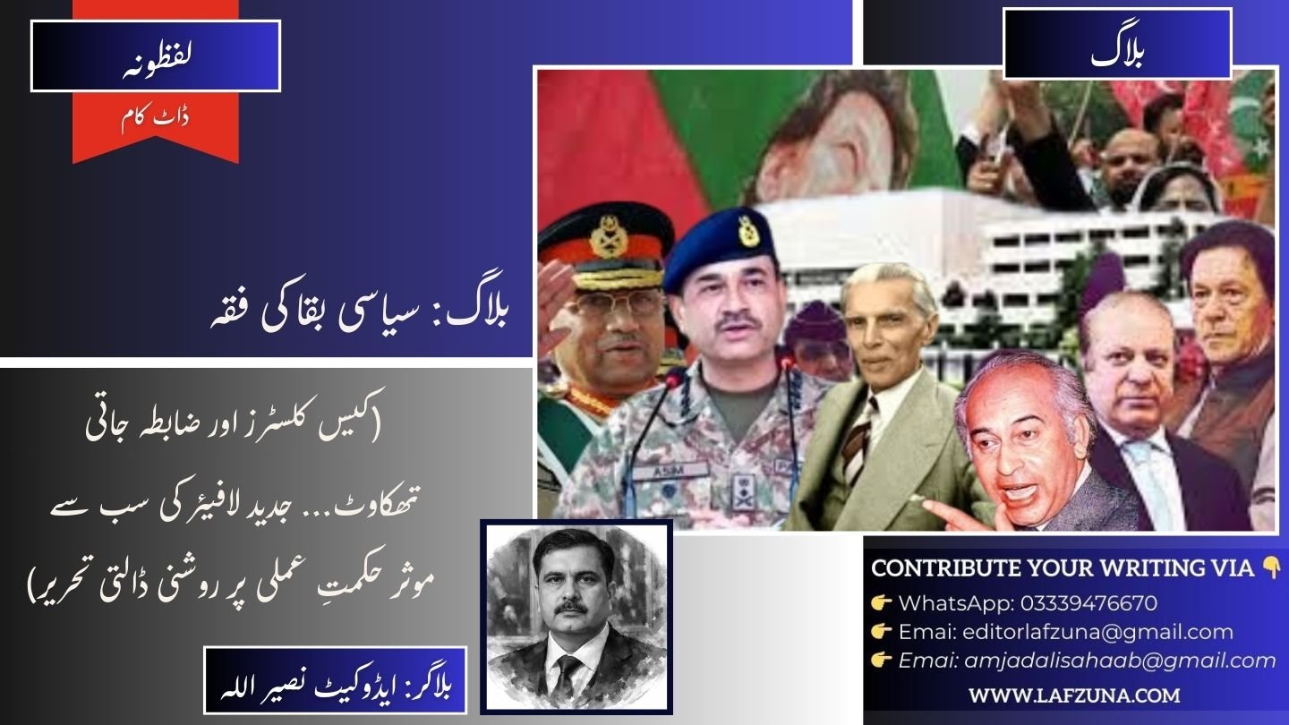 Blogger Naseer Ullah