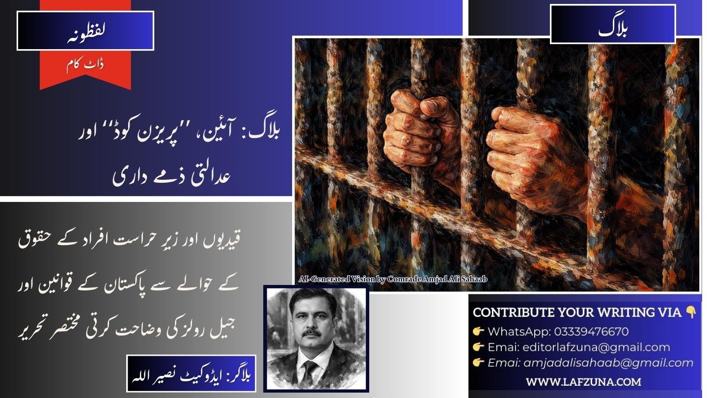 Blogger Advocate Naseer Ullah