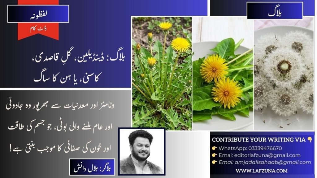 Blogger Hilal Danish