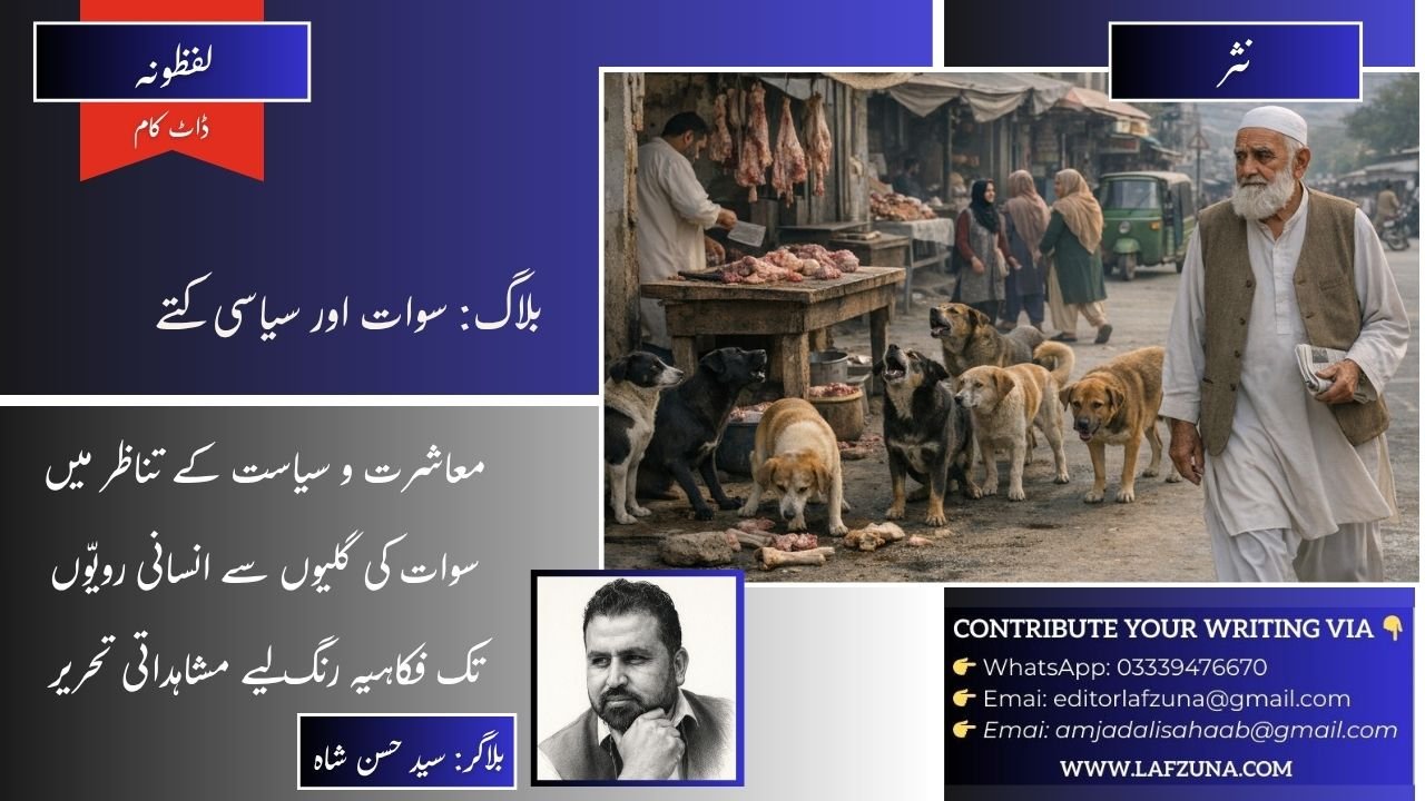 Blogger Syed Hassan Shah