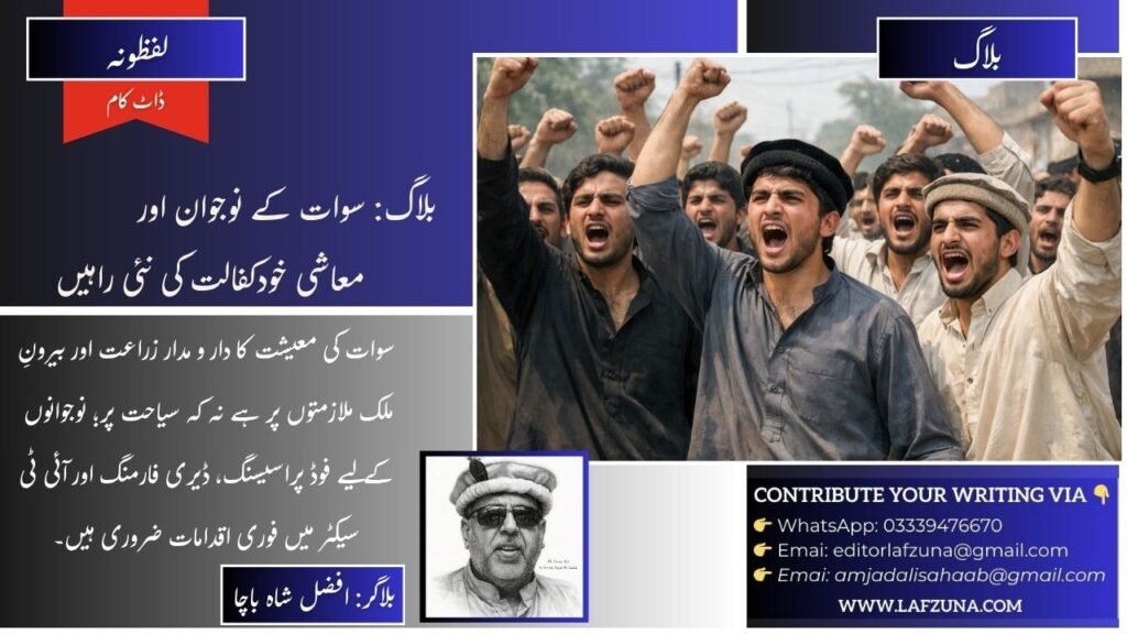Blogger Afzal Shah Bacha