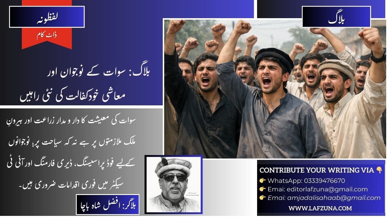Blogger Afzal Shah Bacha