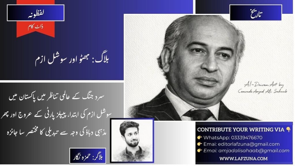 Blogger Hamza Nigar
