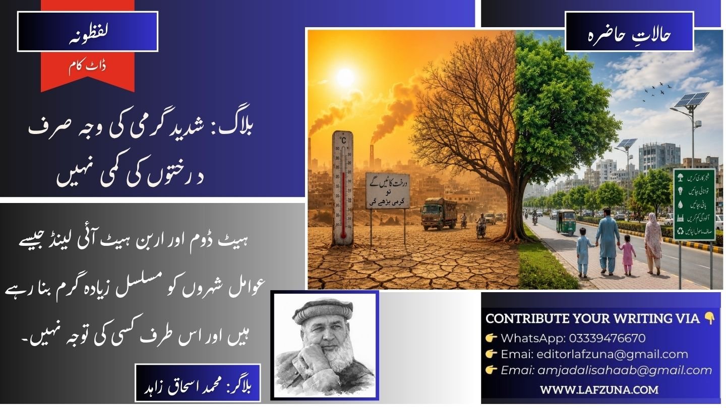 Blogger Muhammad Ishaq Zahid