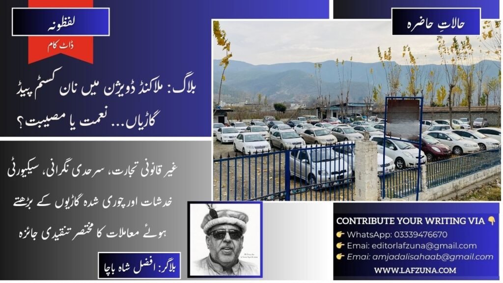 Blogger Afzal Shah Bacha