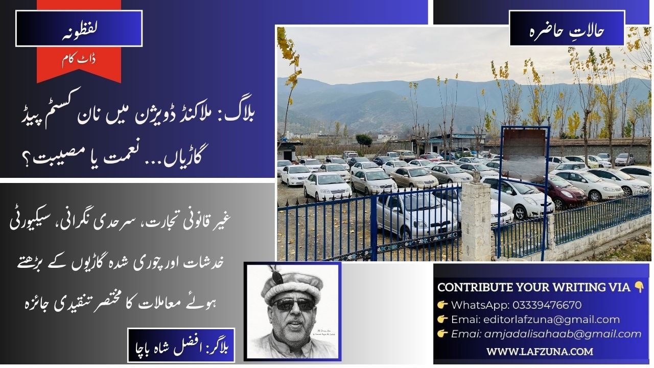 Blogger Afzal Shah Bacha