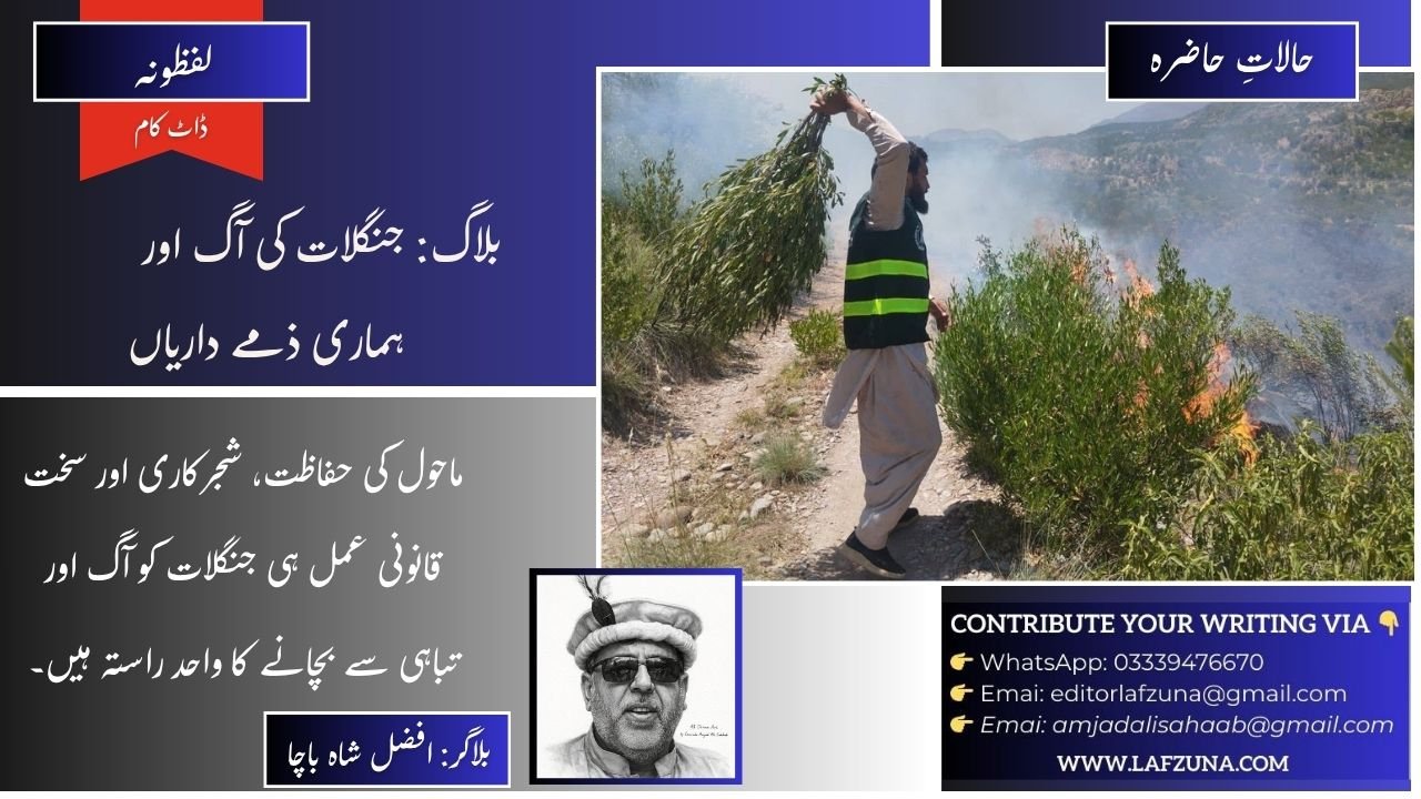Blogger Afzal Shah Bacha