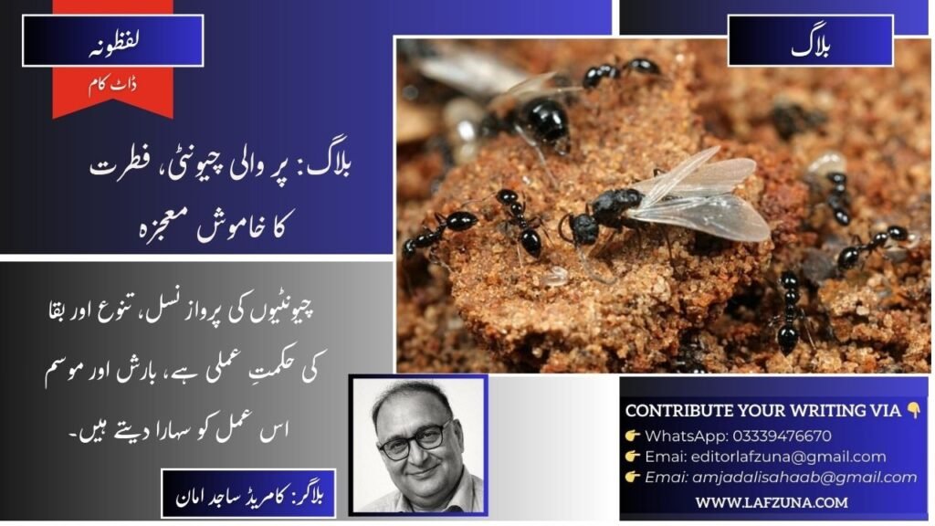 Blogger Comrade Sajid Aman