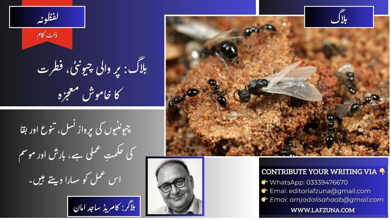 Blogger Comrade Sajid Aman