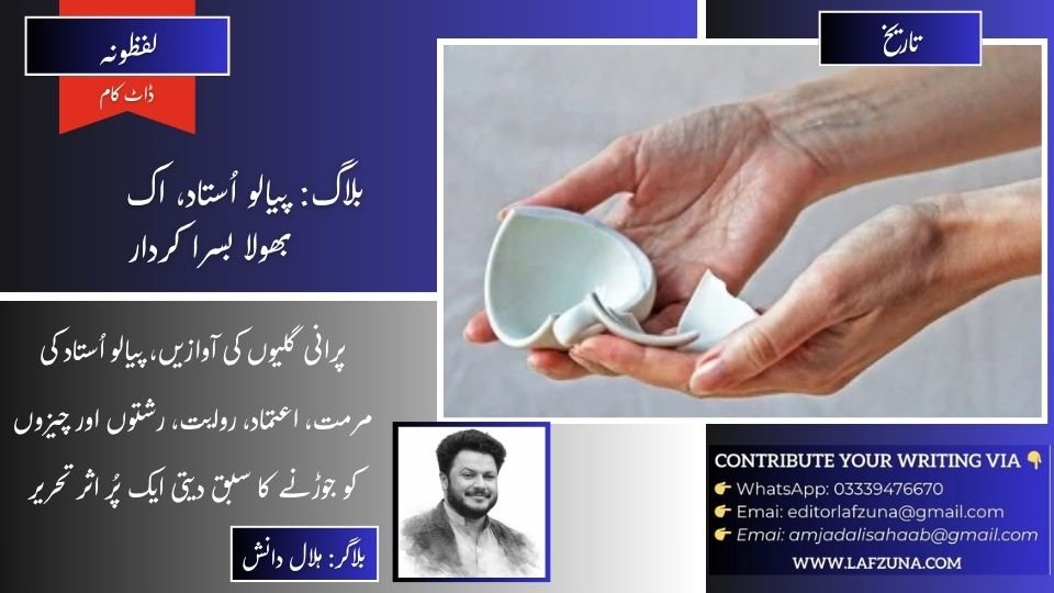 Blogger Hilal Danish